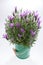 Spanish lavender in green bucket