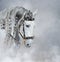 Spanish light gray horse with long mane in light smoke