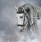 Spanish light gray horse with long mane in light smoke