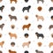 Spanish Mastiff coat colors, different poses seamless pattern