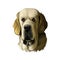 Spanish Mastiff Mastin espanol de campo y trabajo digital art. Watercolor portrait closeup of pet muzzle originated from Spain