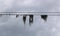 Spanish Moss Hanging from an Electrical Line