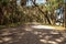 Spanish  moss hangs from trees that line the road