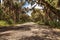 Spanish  moss hangs from trees that line the road