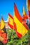 Spanish national official flags. Patriotic symbol