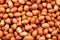 Spanish Peanuts Close Up