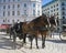 Spanish Riding School, Vienna