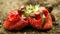 Spanish slug Arion vulgaris snail parasitizes on strawberry moves garden field, eating ripe fruit plant crops, moving