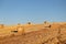 Spanish-spanish mowed field of Spain with straw collected in bales