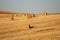 Spanish-spanish mowed field of Spain with straw collected in bales