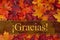 Spanish Thank You Greeting with fall leaves