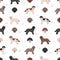 Spanish water dog coat colors, different poses seamless pattern