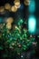 sparking sparkler in the green area. sparkler fire with blurred bokeh background. new year or St. Patrick\\\'s Day