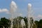 Sparkle drops of fountain in sunny day