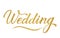 Sparkle gold glitter writing Wedding isolated on white. Hand written with brush calligraphy lettering. Easy to edit vector