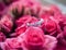 Sparkling diamond engagement ring in one of small pink roses great for valentines