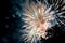 Sparkling firework on night seen from a park and trees silhouettes