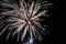 sparkling firework on night seen from a park and trees silhouettes