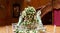 Sparkling glassware stands on table prepared for elegant wedding