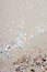 Sparkling and holographic stars on silver background.