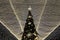 Sparkling light garlands hang over big decorated new year tree like ceiling