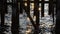 Sparkling sunshine reflection on fjord waves under wooden pier