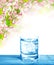 Sparkling water in glass. Cold drink and spring flowers