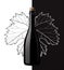 Sparkling wine with grape leaf on white and black background