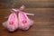 Sparkly Pink Ballet Slippers