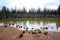 Sparks Lake Central Oregon Wilderness