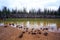 Sparks Lake Central Oregon Wilderness