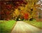 Sparks Lane, Cades Cove, Tennessee