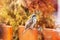 Sparrow , autumn background