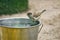 Sparrow bathing at a water bucket. endangered species. cute little bird. animal