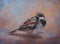 Sparrow bird pastel shaded oil painting with canvas texture