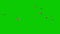 Sparrow Flock Fly Around Green Screen Loop 3D Rendering Animation