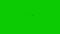 Sparrow Flock Fly Green Screen close 3D Rendering Animation Chroma Key