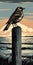 Sparrow Linocut Print On Sea Background