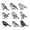 Sparrow Outline Icon Isolated Line Vector Illustration