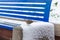 SPARROW OVER A BLUE BENCH COVERED BY SNOW