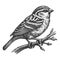 Sparrow Perched on Branch engraving raster