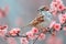 Sparrows Find Refuge Amid Blossoming Flowers on Tranquil Spring Branch