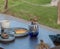 Sparrows scavenging food leftovers at an outdoors restaurant in Maui