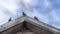 Sparrows sitting in the roof top of the house in blue sky background