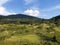 Sparse forests and pastures on the Cicarija mountain and in the Ucka nature park, Croatia / ProrijeÄ‘ene Å¡ume i paÅ¡njaci