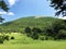 Sparse forests and pastures on the Cicarija mountain and in the Ucka nature park - Istria, Croatia / ProrijeÄ‘ene Å¡ume