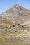 Sparse trees on barren slopes and Camicia peak, near Capo la Serra pass, Abruzzo, Italy