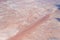 sparse vegetation on red dune in desert, near Hochanas, Namibia