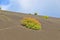 Sparse vegetation on volcanic hills