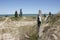 Sparsely Vegetated Sand Dune Overlooking Lake Huro